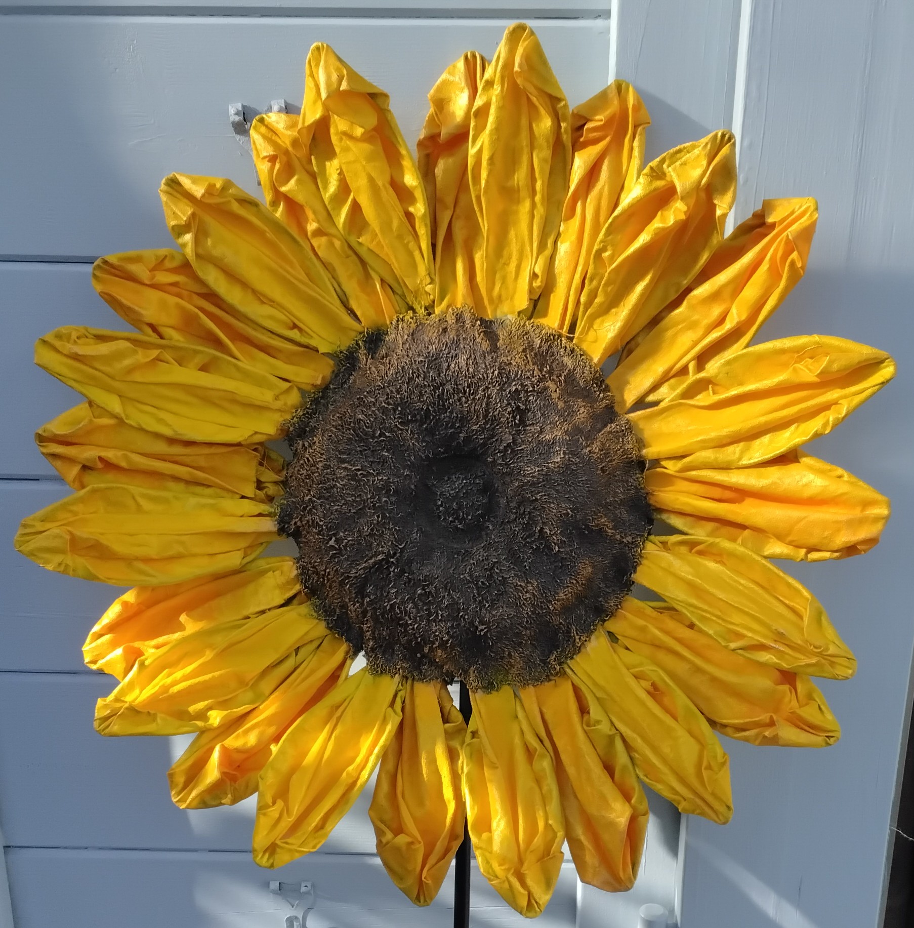 Sunflower for the garden Garden Workshop - 2 sessions