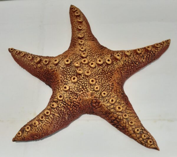 Video Tutorial Stone Art Starfish Video links ONLY