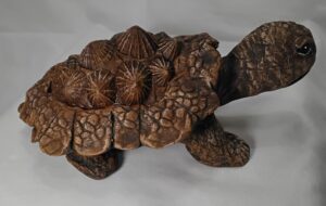 Video Tutorial Pancake Tortoise - Stone Art Clay - VIDEO LINKS ONLY