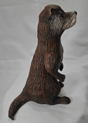 Video Tutorial Baby Otter - Stone Art Clay - VIDEO LINKS ONLY